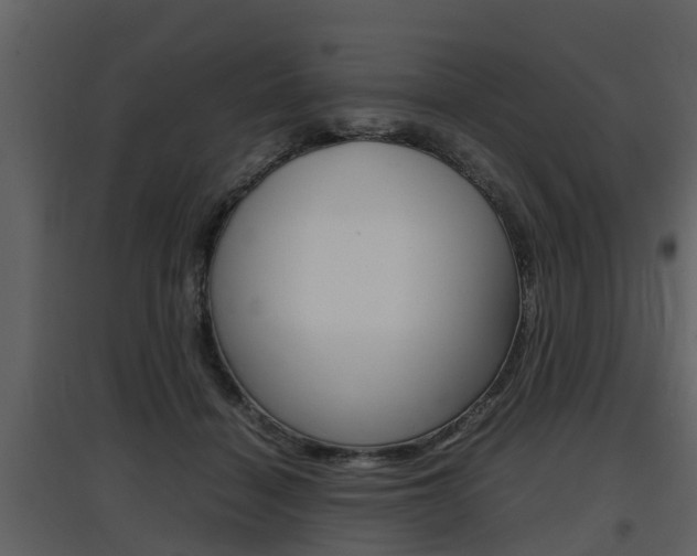 X0000097840460200803140838