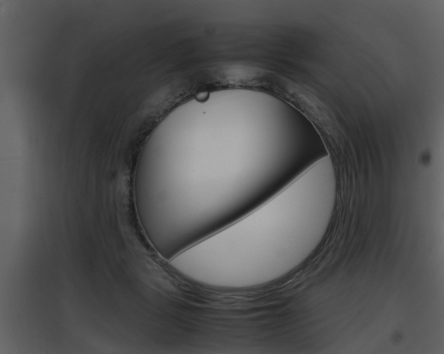 X0000097840461200803140838