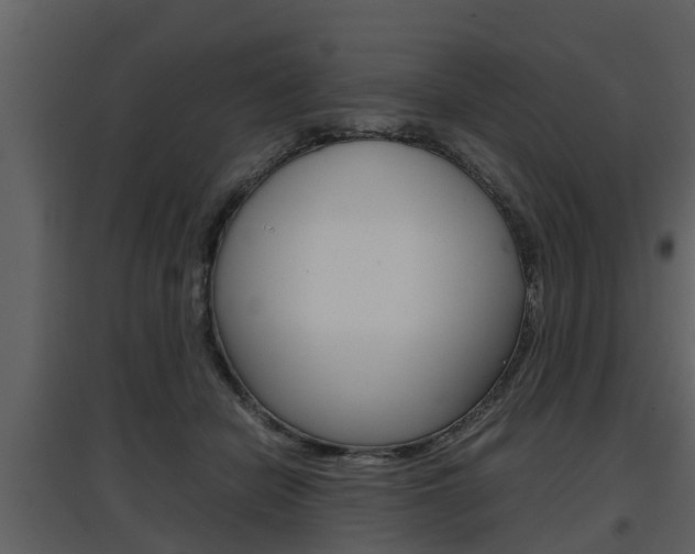 X0000097840462200803140838