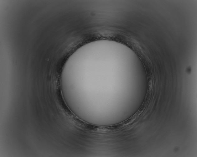 X0000097840464200803140838