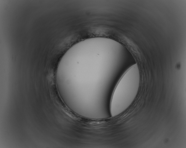 X0000097840465200803140838