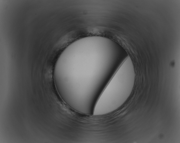 X0000097840466200803140838