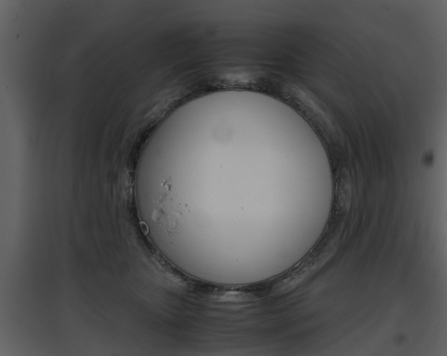 X0000097840467200803140838