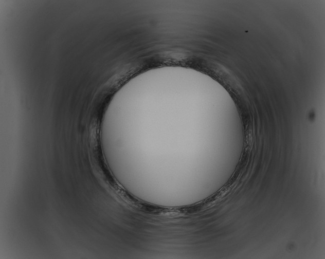 X0000097840468200803140838