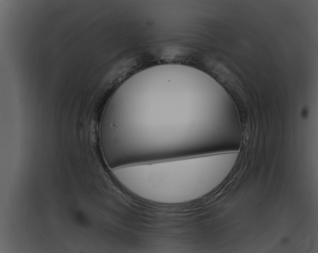 X0000097840470200803140838