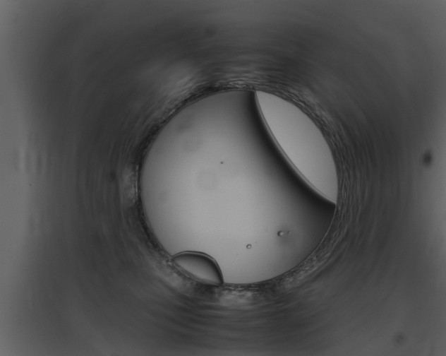 X0000097840471200803140838