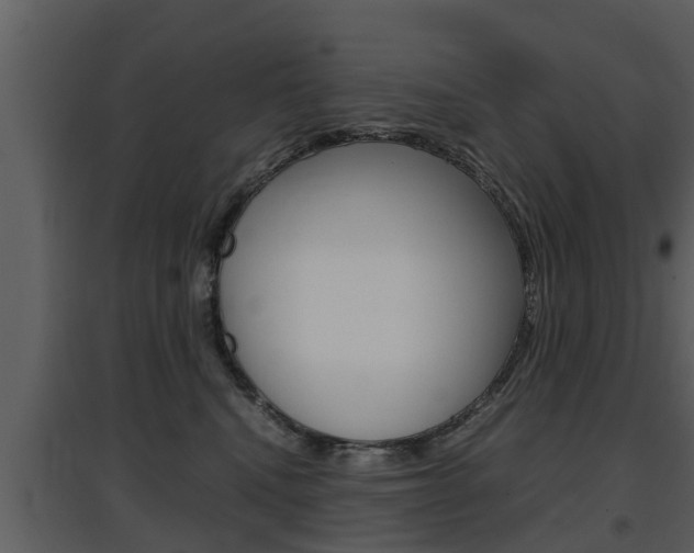 X0000097840472200803140838