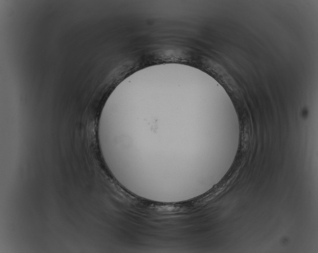 X0000097840473200803140838