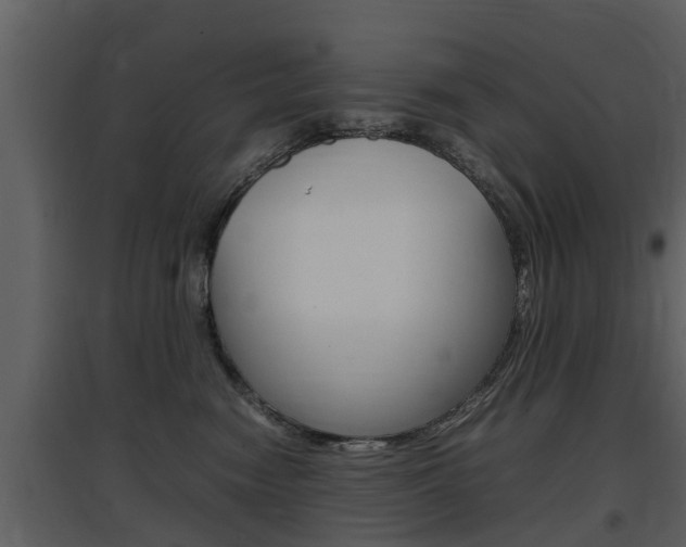 X0000097840474200803140838