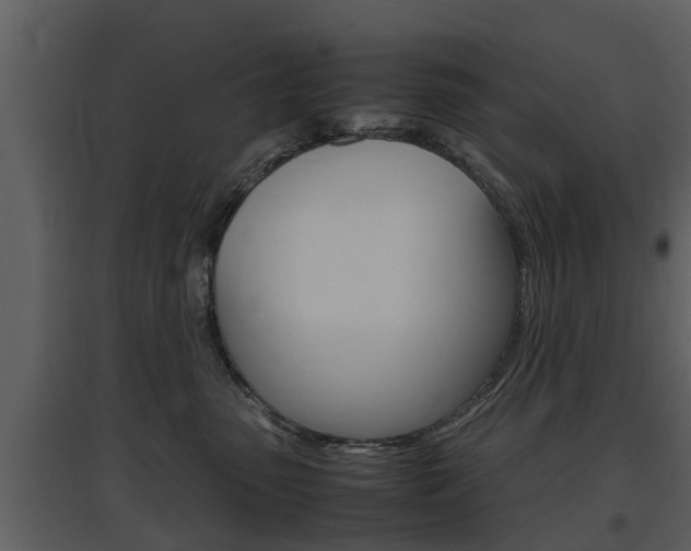 X0000097840475200803140838