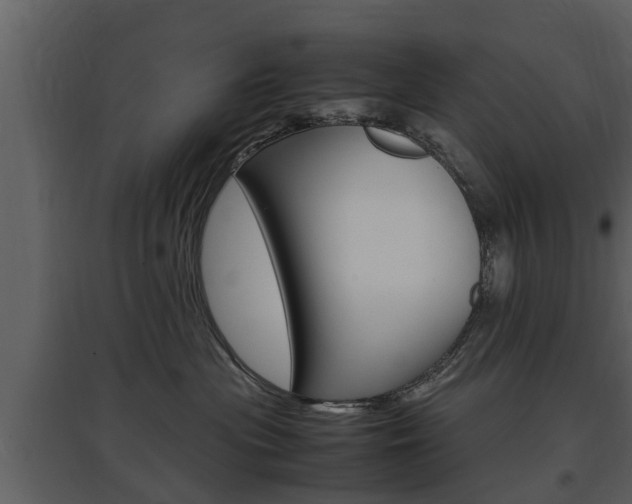 X0000097840477200803140838