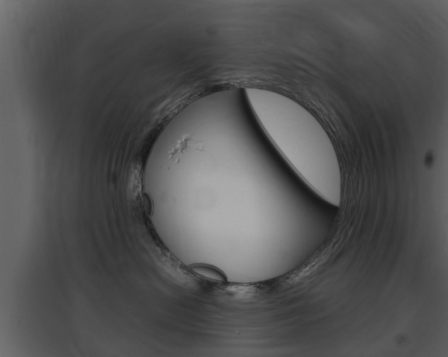 X0000097840478200803140838