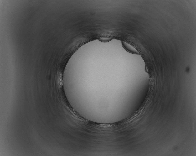 X0000097840479200803140838