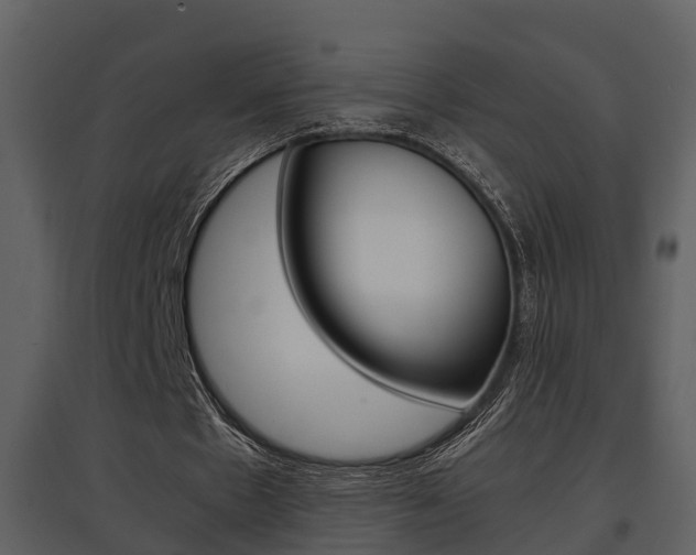 X0000097840481200803140838