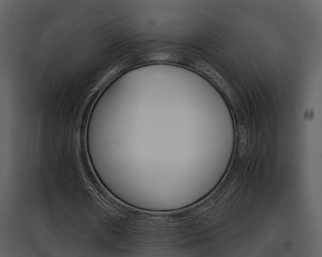 X0000097840482200803140838
