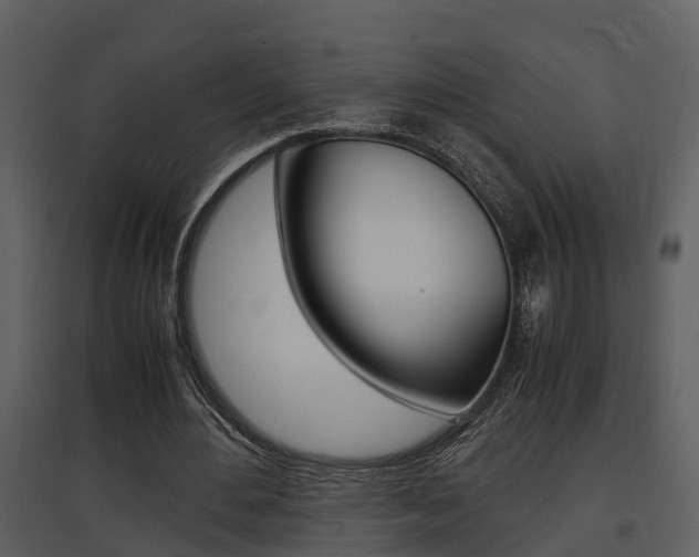 X0000097840484200803140838