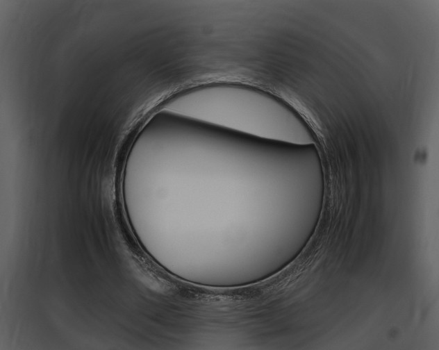 X0000097840486200803140838