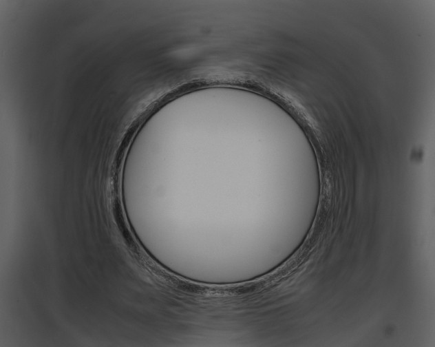 X0000097840487200803140838