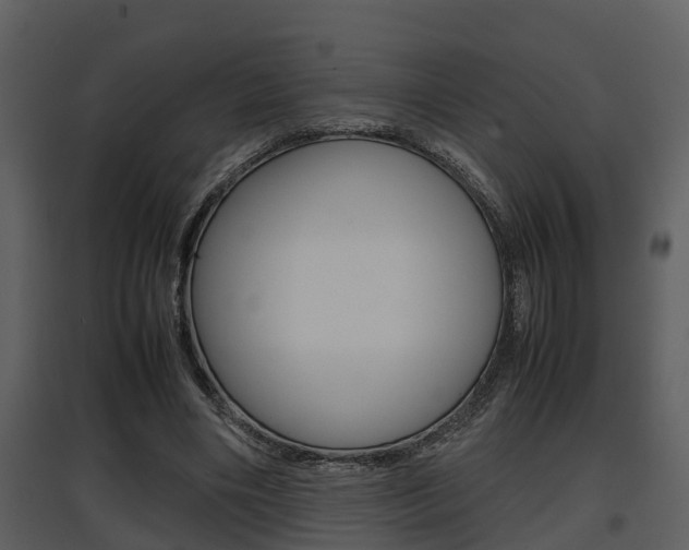 X0000097840490200803140838