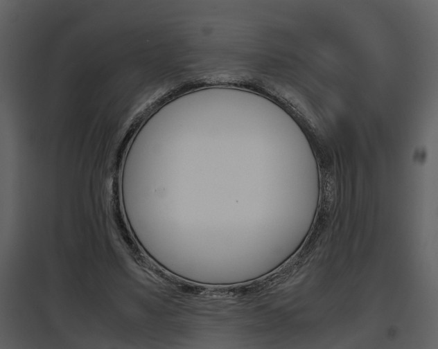 X0000097840491200803140838