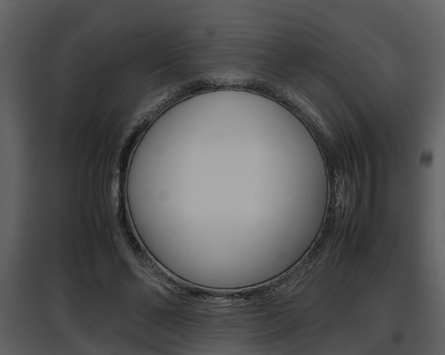 X0000097840494200803140837