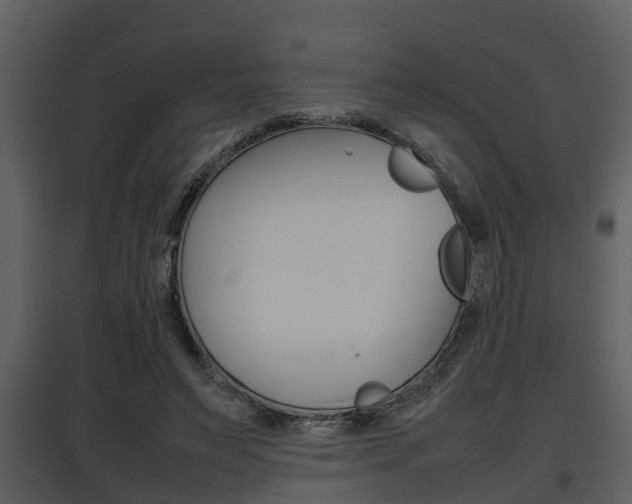 X0000097840495200803140837