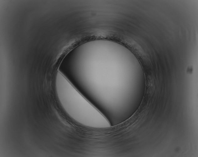 X0000097840496200803140837