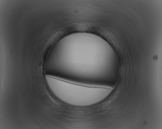 X0000097840497200803140837