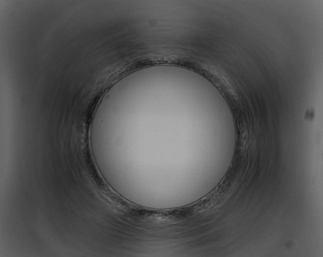 X0000097840498200803140837