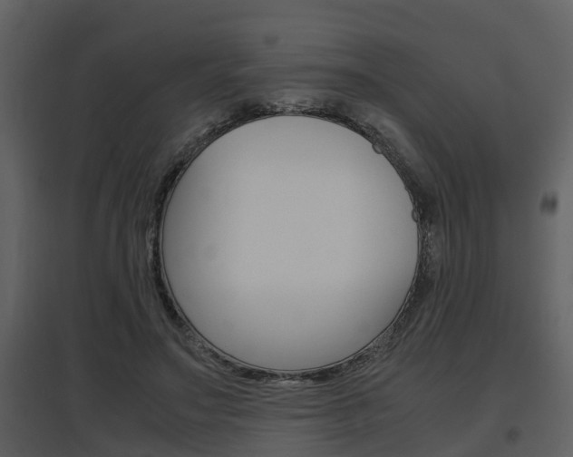 X0000097840499200803140837