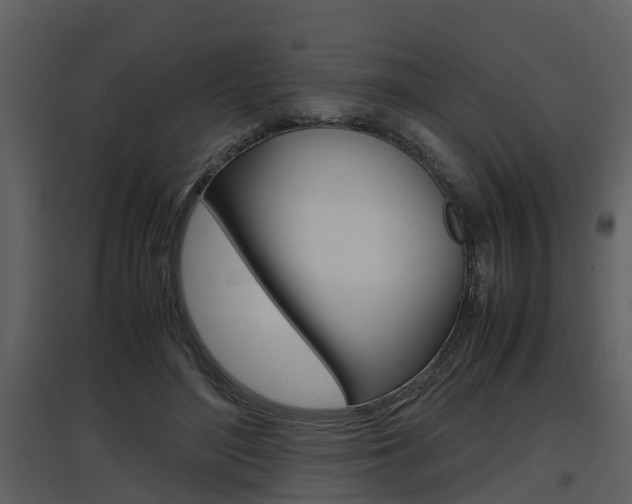X0000097840500200803140837