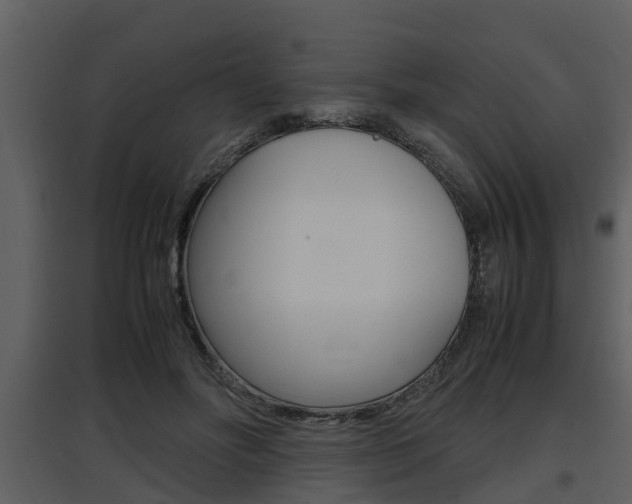 X0000097840502200803140837