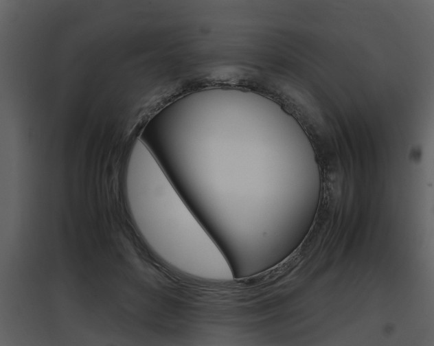 X0000097840504200803140837