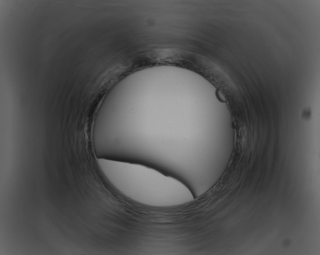 X0000097840506200803140837