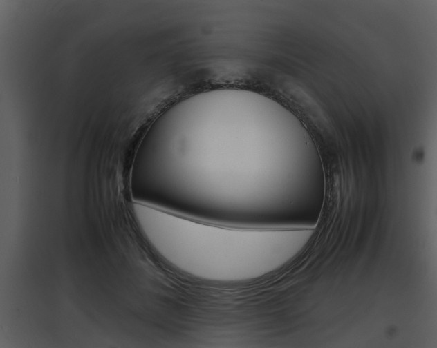 X0000097840508200803140837