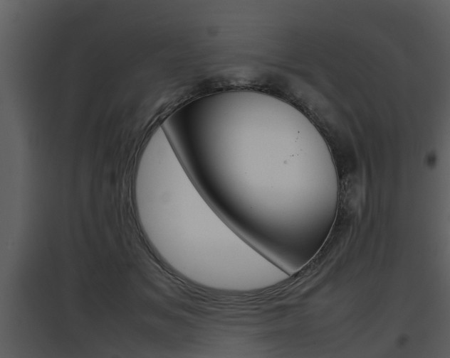 X0000097840509200803140837