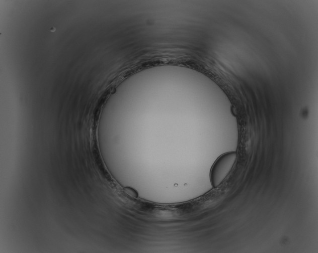 X0000097840510200803140837