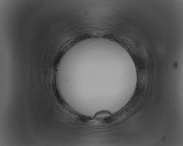 X0000097840511200803140837