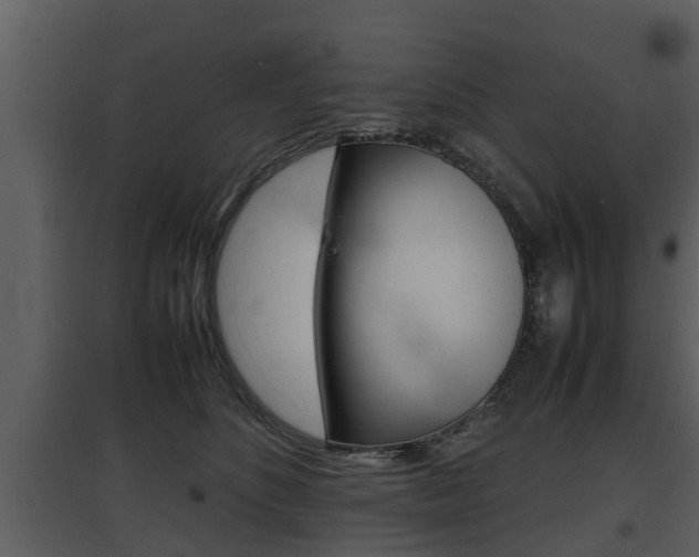 X0000097840516200803140837
