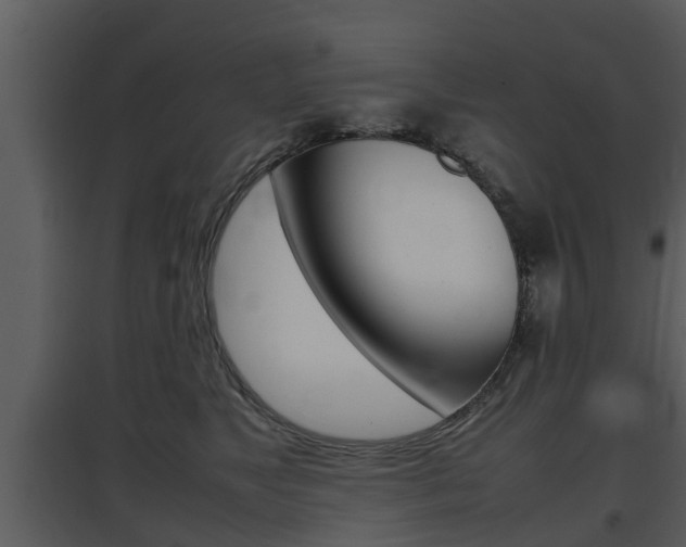 X0000097840517200803140837