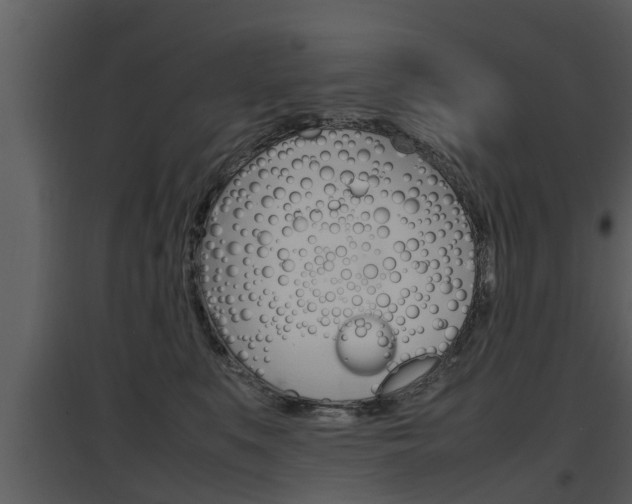 X0000097840519200803140837