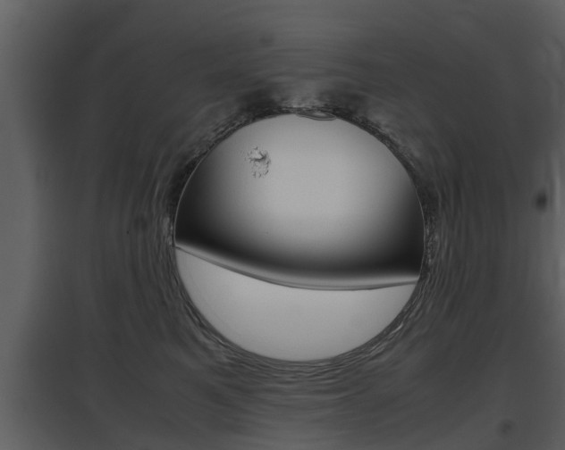 X0000097840521200803140837