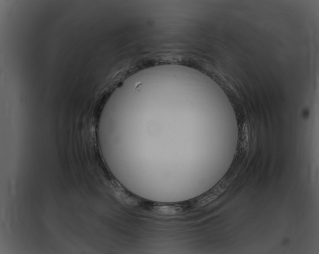 X0000097840522200803140837