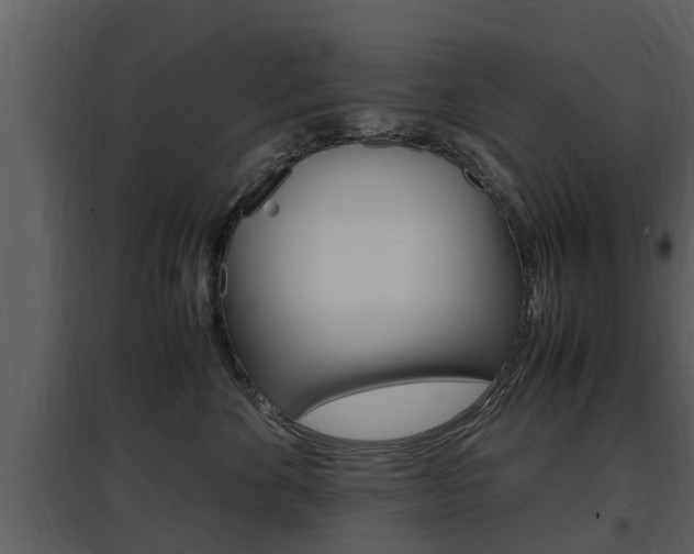 X0000097840524200803140837