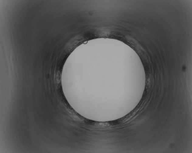X0000097840525200803140837