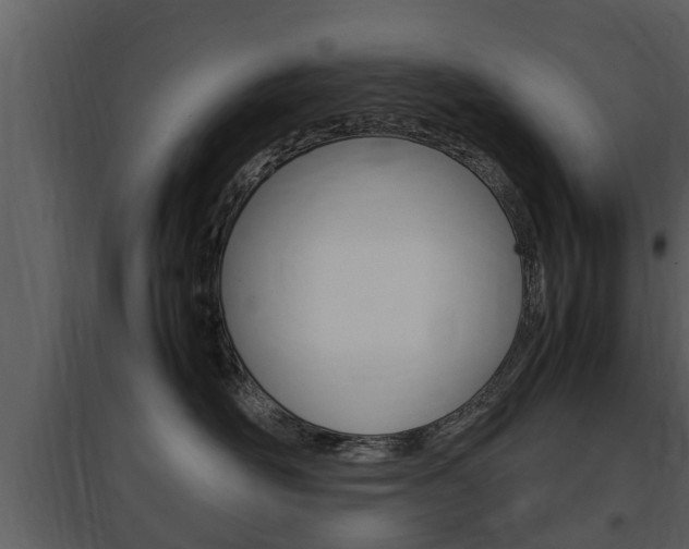 X0000097840526200803140837