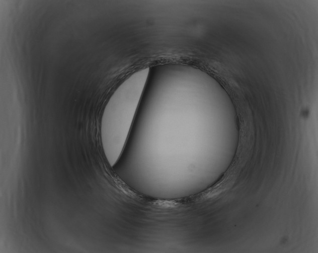 X0000097840528200803140837