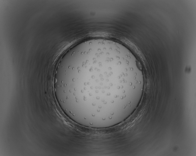 X0000097840529200803140836