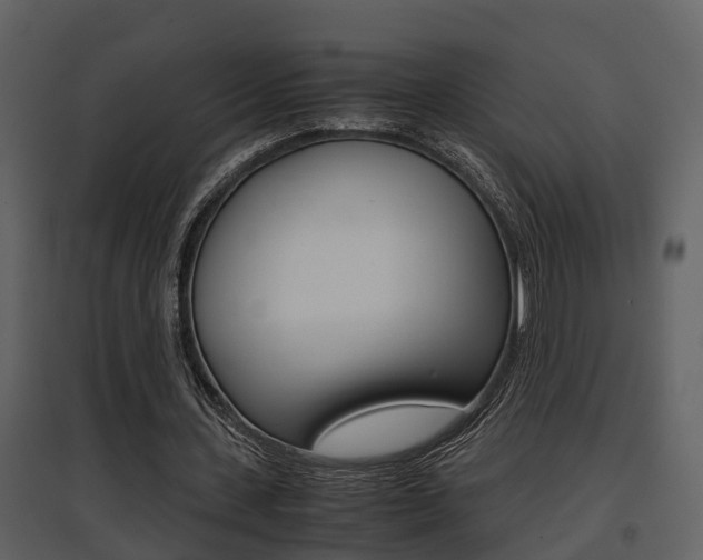 X0000097840531200803140836