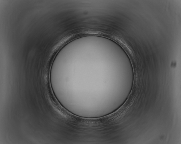 X0000097840533200803140836
